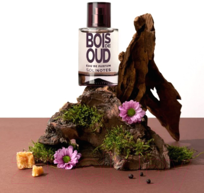 Парфюмерная вода Solinotes Bois De Oud (50мл)