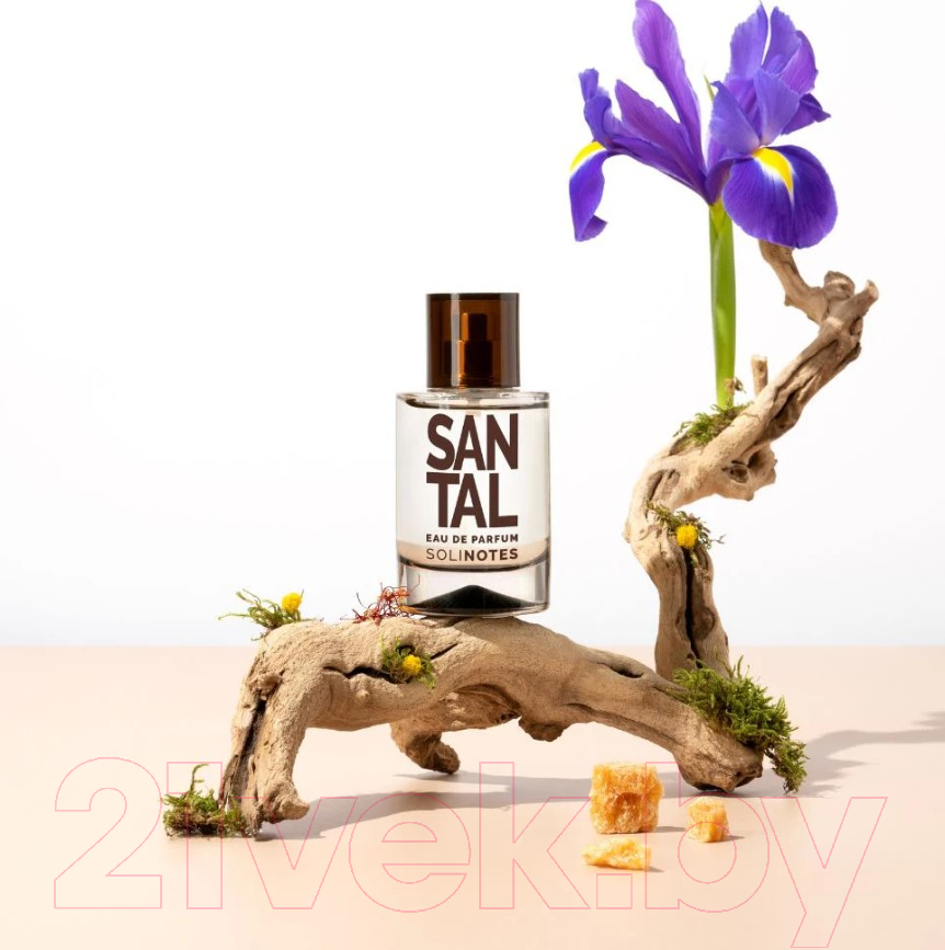 Парфюмерная вода Solinotes Santal