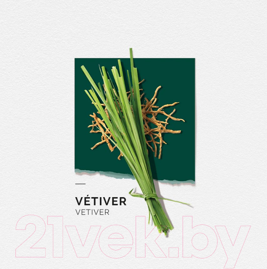 Парфюмерная вода Solinotes Vetiver