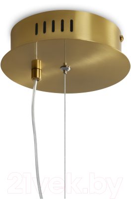 Потолочный светильник Freya Plum FR6137PL-L21BT2