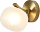 Бра Freya Donuts FR5444WL-01BS - 