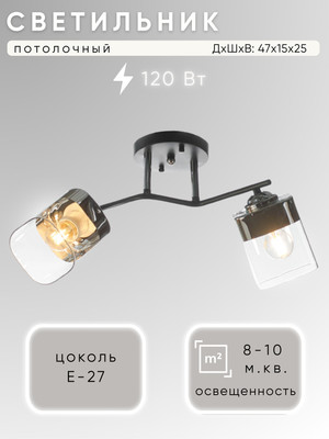 Потолочный светильник Aitin-Pro НПБ 02-2x60-101 / K2117/2 (черный/хром) -