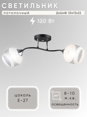 Потолочный светильник Aitin-Pro НПБ 02-2x60-101 / K2132/2 (черный/хром) -
