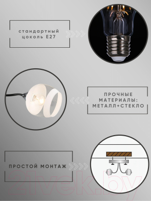 Потолочный светильник Aitin-Pro НПБ 02-2x60-101 / K2132/2 (черный/хром)