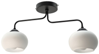 Потолочный светильник Aitin-Pro НПБ 02-2x60-102 / N5482/2 (черный) - 