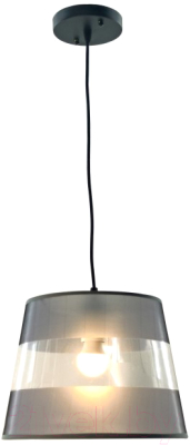 Потолочный светильник Aitin-Pro НСБ 01-60-101 / N5594/1H (черный)