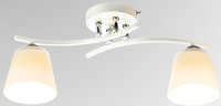 Потолочный светильник Aitin-Pro НПБ 02-2x60-101 / N5951/2 (белый/хром) - 