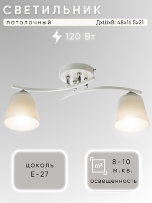 Потолочный светильник Aitin-Pro НПБ 02-2x60-101 / N5951/2 (белый/хром) - 