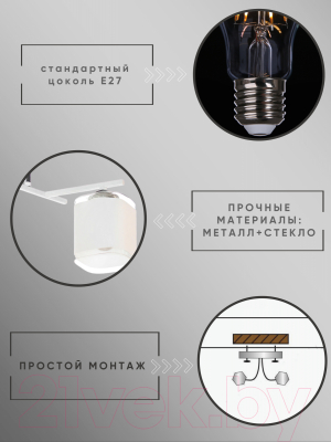 Потолочный светильник Aitin-Pro НПБ 02-2x60-101 / N5955/2 (белый/хром)