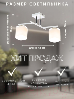 Потолочный светильник Aitin-Pro НПБ 02-2x60-101 / N5955/2 (белый/хром)