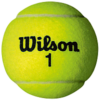 Набор теннисных мячей Wilson Championship / WRT110000 (4шт) - 