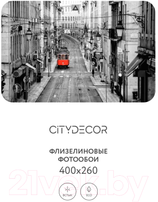 Фотообои листовые Citydecor Города и архитектура 53 (400x260см)