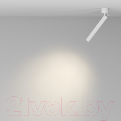 Спот Maytoni Ceiling C141CL-L300-6W4K-W