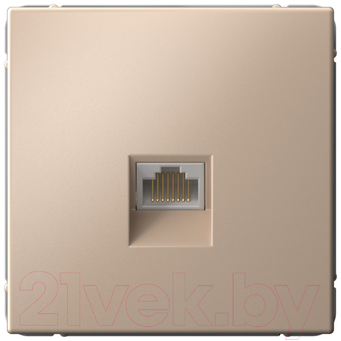 Розетка Systeme (Schneider) Electric ArtGallery GAL001286 — фото 1