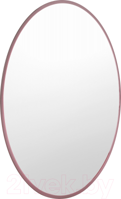 Зеркало Saniteco 1M10 60 D600 (марсала)
