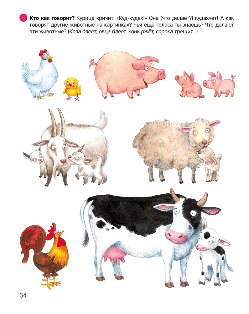 Развивающая книга Аверсэв Умней-ка. 4-5 лет. Развитие речи мягкая обложка (Старжинская Наталья) — фото 3