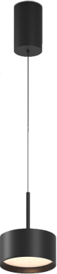 Потолочный светильник Maytoni Pendant P102PL-12W3K-B