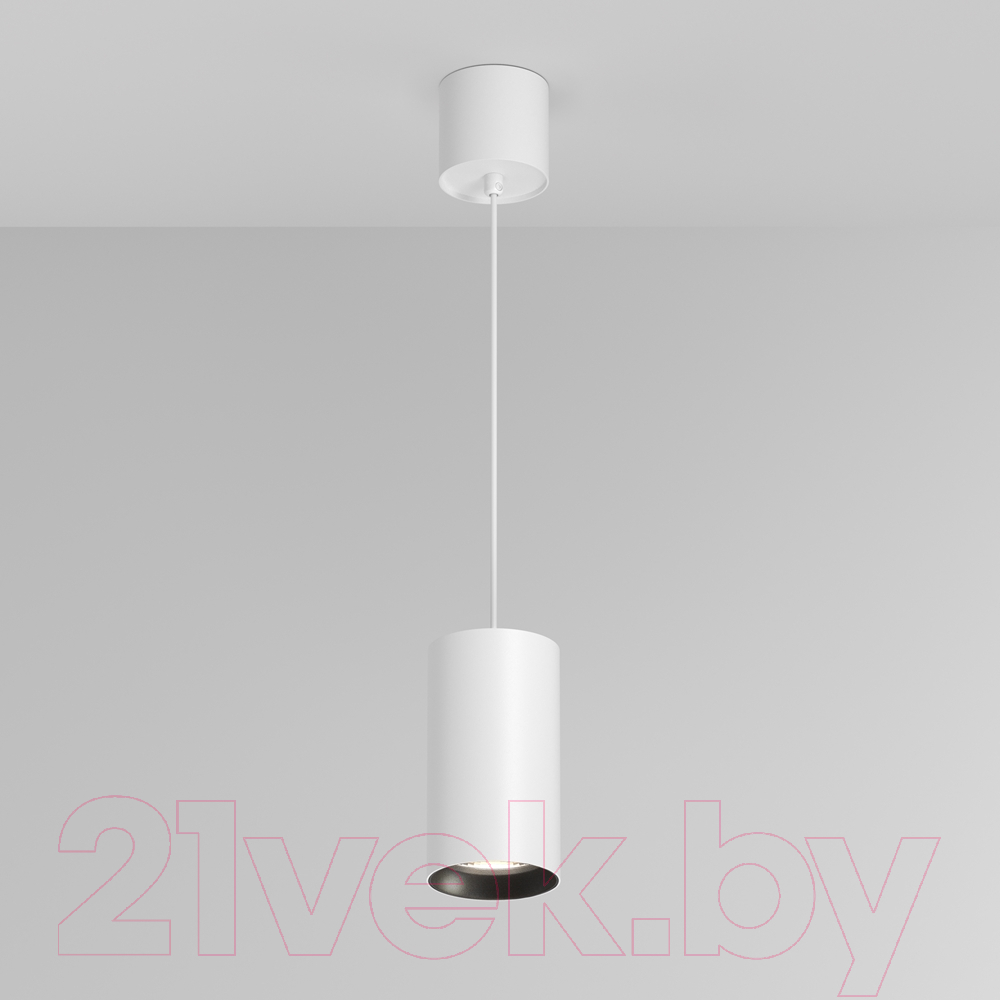 Потолочный светильник Maytoni Pendant P100PL-20W4K-W