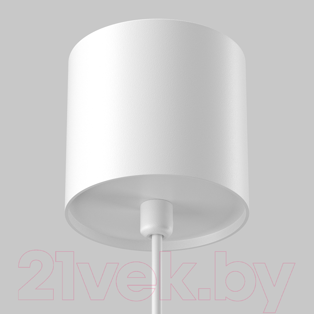 Потолочный светильник Maytoni Pendant P100PL-20W4K-W — фото 4