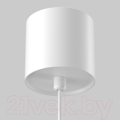 Потолочный светильник Maytoni Pendant P100PL-20W4K-W