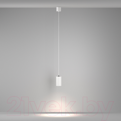 Потолочный светильник Maytoni Pendant P100PL-20W4K-W