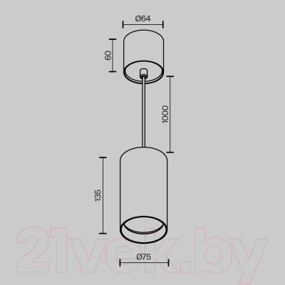 Потолочный светильник Maytoni Pendant P100PL-20W4K-W