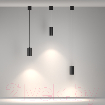 Потолочный светильник Maytoni Pendant P100PL-20W4K-B