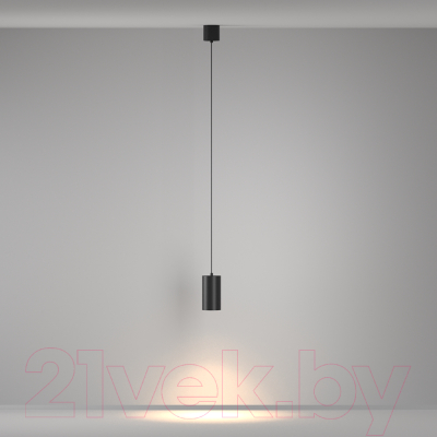 Люстра Maytoni Pendant P100PL-20W3K-B 