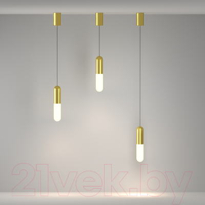 Потолочный светильник Maytoni Pendant P101PL-L300-12W3K-BS