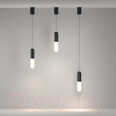 Потолочный светильник Maytoni Pendant P101PL-L300-12W3K-B