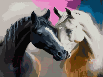 Картина по номерам РЫЖИЙ КОТ Черная и белая лошадь / Х-4161 