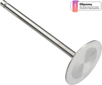 Впускной клапан двигателя Freccia R3725/RCR  - 