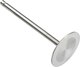 Впускной клапан двигателя Freccia R6312/SCR  - 