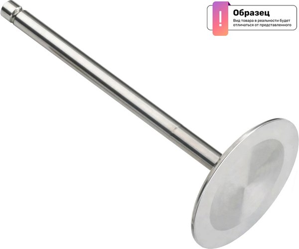 Впускной клапан двигателя Freccia R6163/SCR 