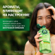 Миниатюра изображения товара Шампунь для волос Herbal Essences Алое (350мл)