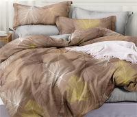 Комплект постельного белья Alleri Поплин Luxe 2сп с европростыней / П-311 - 