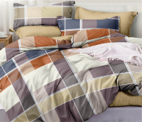 Комплект постельного белья Alleri Поплин Luxe 2сп с европростыней / П-310 - 