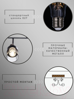 Спот Aitin-Pro НПБ 02-2x60-101 / N6239/2 (черный/бронза)