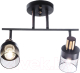 Спот Aitin-Pro НПБ 02-2x60-101 / N6239/2 (черный/бронза) - 
