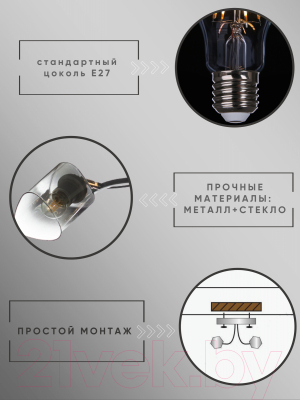 Спот Aitin-Pro НПБ 02-2x60-101 / N6212/2 (кофе/золото)