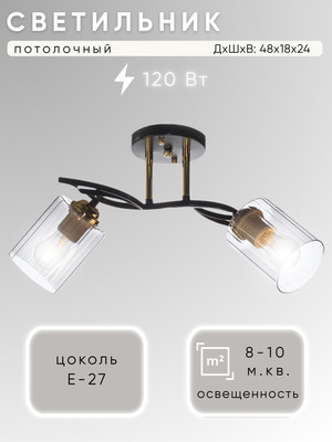 

Потолочный светильник, НПБ 02-2x60-101 / N6001/2