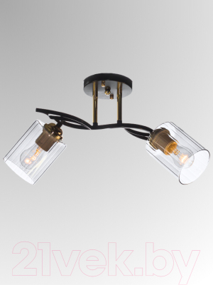 Потолочный светильник Aitin-Pro НПБ 02-2x60-101 / N6001/2 (кофе/золото)
