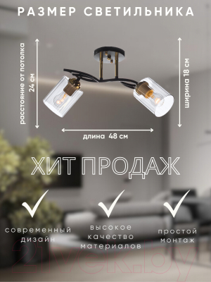 Потолочный светильник Aitin-Pro НПБ 02-2x60-101 / N6001/2 (кофе/золото)