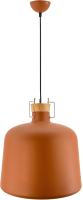 Потолочный светильник Aitin-Pro НCБ 01-60-101 / 6455A (коричневый) - 