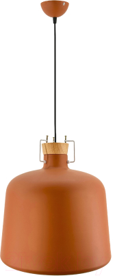 Потолочный светильник Aitin-Pro НCБ 01-60-101 / 6455A (коричневый)