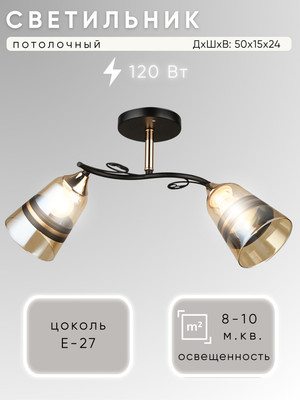 Потолочный светильник Aitin-Pro НПБ 02-2х60-101 / N4098/2 -