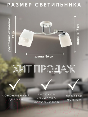 Потолочный светильник Aitin-Pro НПБ 02-2x60-101 / N6107/2 (белый/хром)