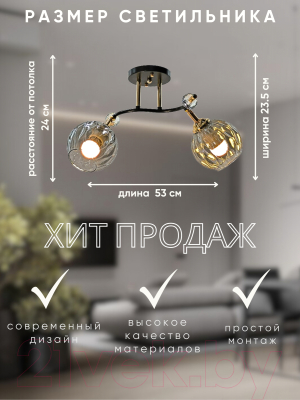 Спот Aitin-Pro НПБ 02-2x60-101 / N5676/2 (кофе/золото)