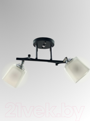 Потолочный светильник Aitin-Pro НПБ 02-2x60-101 / N5488/2 (черный/хром)