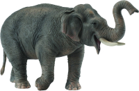 Фигурка коллекционная Collecta Азиатский слон / 88486b  - 